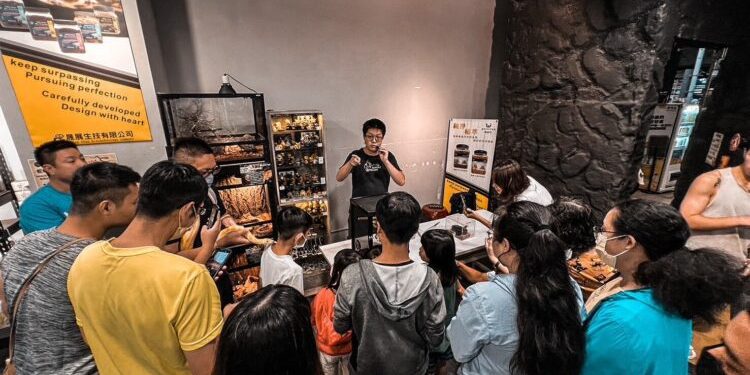 高雄爬蟲專賣店深耕在地 打造讓親子安心入門飼養體驗空間