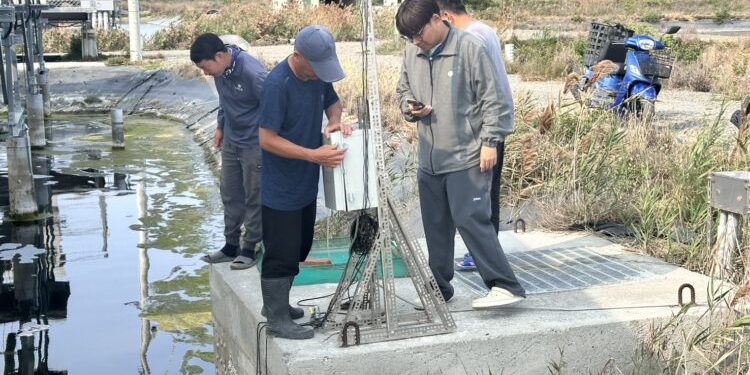 三地能源七股漁電千萬放養 AI治理打造科技綠電後盾