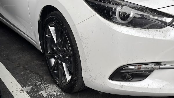 清明掃墓別讓車白吃灰 學會這一招護車又省錢