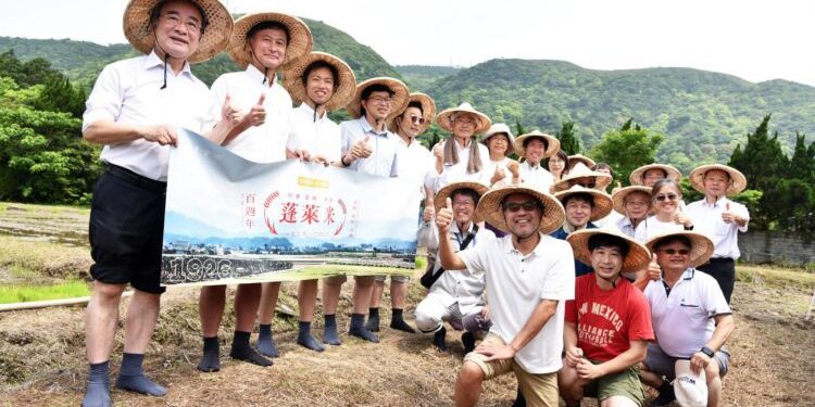 跨越世紀的蓬萊米香 農業部攜手國際稻作專家 見證臺灣稻作百年傳奇