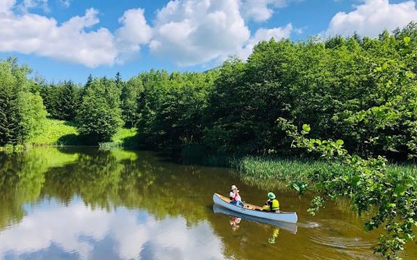 星野TOMAMU度假村推出台灣旅客限定禮遇 春夏綠色季同步登場