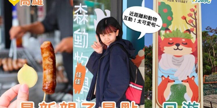 高雄一日遊｜最新親子景點「野森動物學校 」3月正式開放 狐獴互動、狐狸谷、栗翅鷹上手體驗＋內門美食一日遊