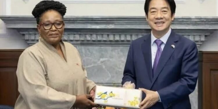 南非權威外媒曝光！史國民團轟賴清德3億美元金援：高層收賄分贓、百姓更苦