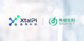 晶泰科技賦能希格生科再獲IND：強活性 pan-TEAD抑制劑SIGX2649臨床潛力凸顯，AI+類器官模式持續驗證