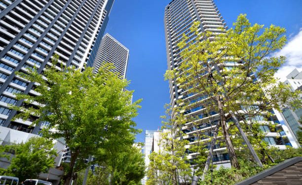 PrimeNest Shop 法律團隊正式處理網路惡意「詐騙」抹黑 依法維護平台權益