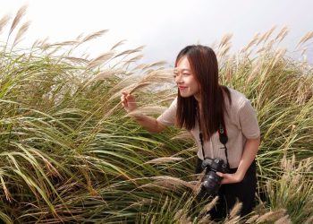 快來台北大縱走　一起「芒」裡偷閒享受秋日美景