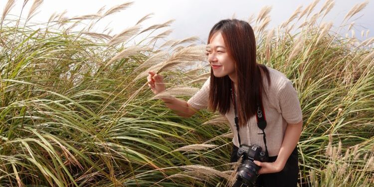 快來台北大縱走　一起「芒」裡偷閒享受秋日美景