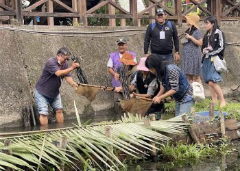 花蓮災後重啟永續觀光 食農、生態、部落文化一次體驗