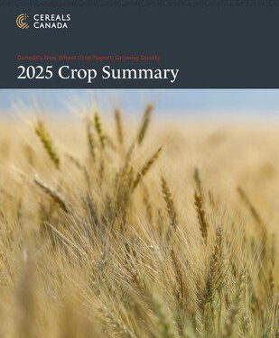 Cereals Canada 發佈《2025 年全新小麥農作物報告》(2025 New Wheat Crop Report)