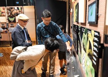 看見鱗翅的奇幻旅程 「島嶼飛行—臺灣蝶蛾生存記」特展臺博館展出