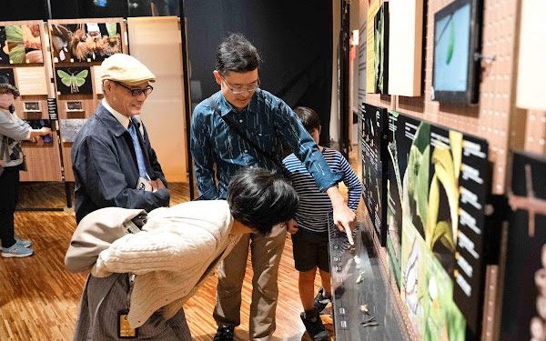 看見鱗翅的奇幻旅程 「島嶼飛行—臺灣蝶蛾生存記」特展臺博館展出