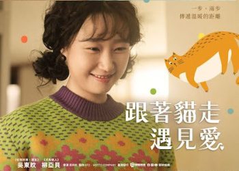 《跟著貓走遇見愛》小貓成為全片最尊貴的巨星 小貓成為全片最尊貴的巨星