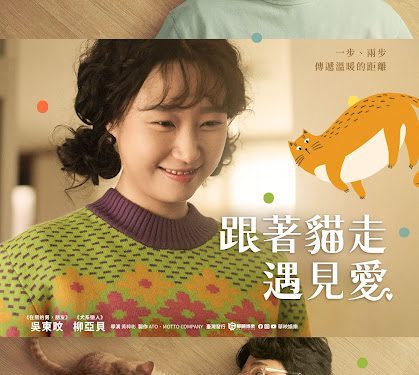 《跟著貓走遇見愛》小貓成為全片最尊貴的巨星 小貓成為全片最尊貴的巨星