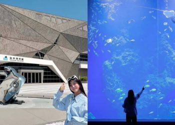 台中親子景點｜開箱台中新地標 台中海洋館門票、交通、必看展區懶人包