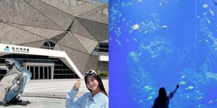 台中親子景點｜開箱台中新地標 台中海洋館門票、交通、必看展區懶人包