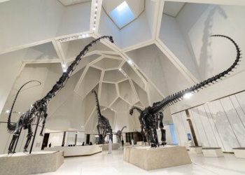 阿布札比酋長國王 Sheikh Khaled bin Mohamed bin Zayed Al Nahyan 殿下於薩迪亞特文化區為阿布札比自然歷史博物館揭幕