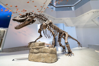 阿布札比酋長國王 Sheikh Khaled bin Mohamed bin Zayed Al Nahyan 殿下於薩迪亞特文化區為阿布札比自然歷史博物館揭幕