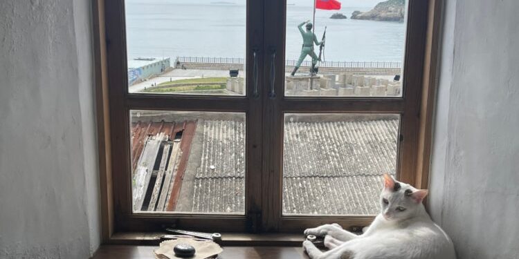 關於藝術島 「一起回島吧」