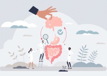 腸道是我們的第二個大腦？營養師分享腸腦軸線的秘密！