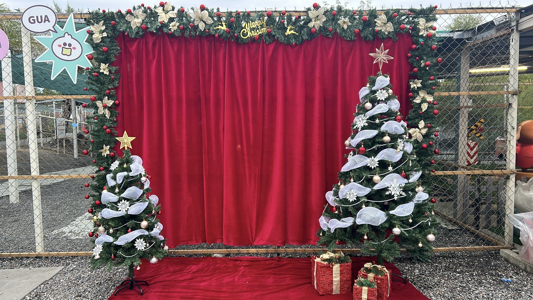 20251128112705_img_7014