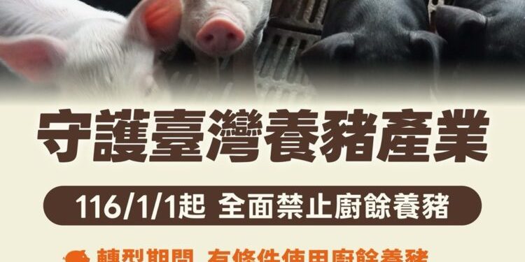 推動一年內廚餘養豬全面轉型　強化非洲豬瘟防疫韌性