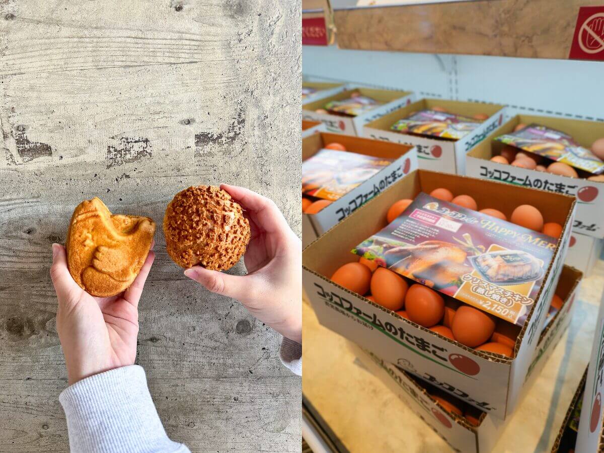 熊本菊池一日遊｜日幣大降必玩路線，菊池溪谷、道之驛、人氣美食推薦～