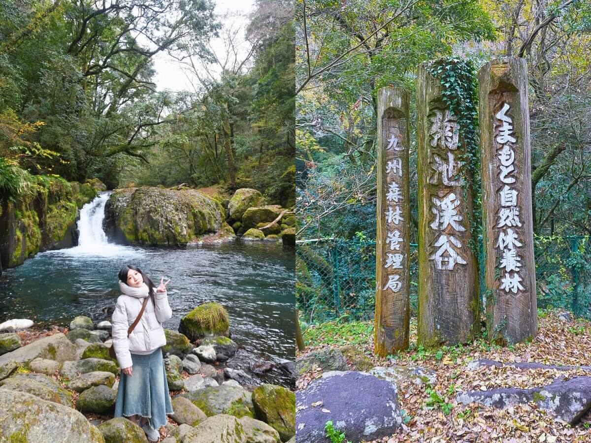 熊本菊池一日遊｜日幣大降必玩路線，菊池溪谷、道之驛、人氣美食推薦～