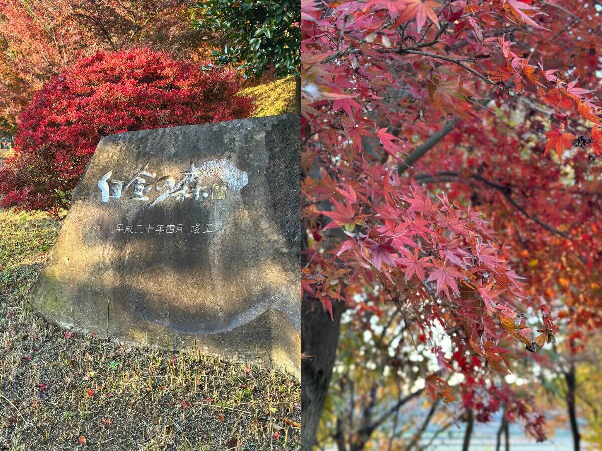 熊本菊池一日遊｜日幣大降必玩路線，菊池溪谷、道之驛、人氣美食推薦～
