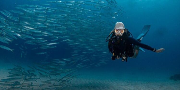 小琉球潛水課程 零經驗也能下潛 打開人生第一次藍色冒險
