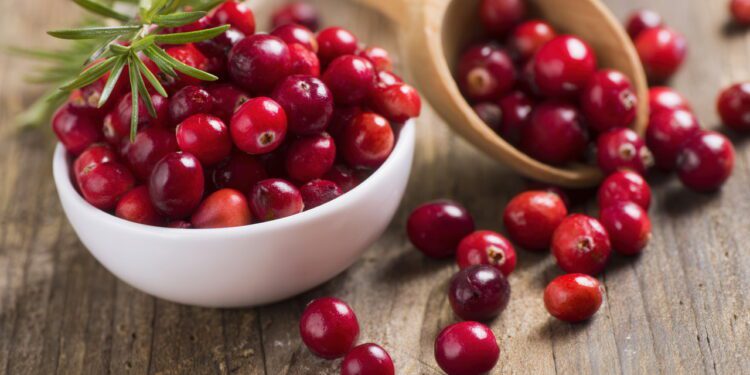 現代生活型態下的私密健康新趨勢:聚焦「A 型原花 青素」與「高吸收鋅」營養補充