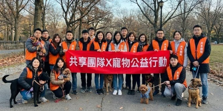 守護毛孩不遺餘力 「共享團隊」啟動寵物公益計畫 以實際行動讓愛走進日常