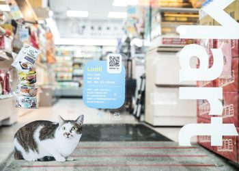 貓奴集合了！全家「貓之日」萌翻登場 巨貓現身、貓咪制服、黃金熱貓一次看