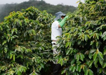 岢欣深耕咖啡產業多年 推出星鏈咖啡機