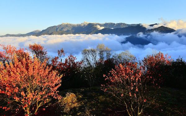 馬上出發！2026馬年森林育樂場域走春攻略