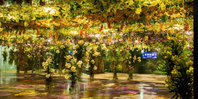 2026臺灣國際蘭展暨花卉科技展 5大展區搶先看