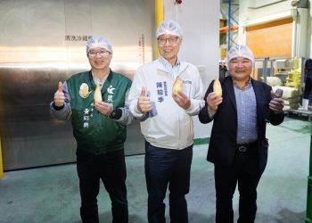 農業部推動「糧食產業全面升級計畫」成果亮眼 雜糧轉作增加近3200公頃