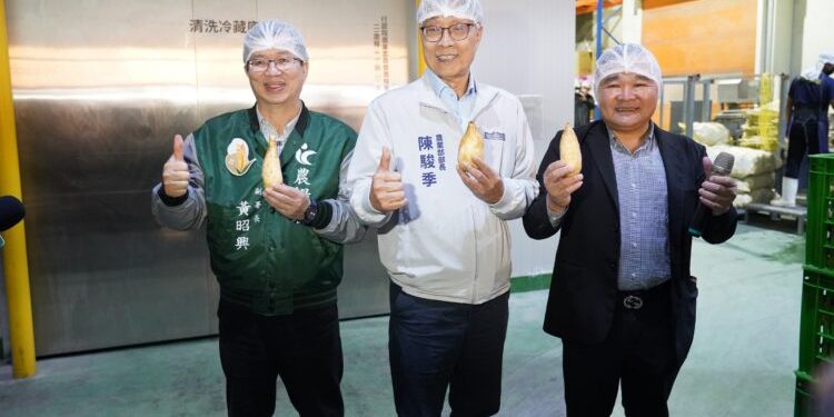 農業部推動「糧食產業全面升級計畫」成果亮眼 雜糧轉作增加近3200公頃
