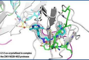 IRBM 公布寨卡病毒藥物研發取得突破