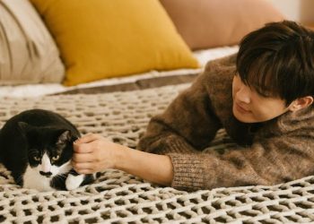 炎亞綸化身獨居男子領養老貓！新歌〈家庭會議〉奇幻視角說愛