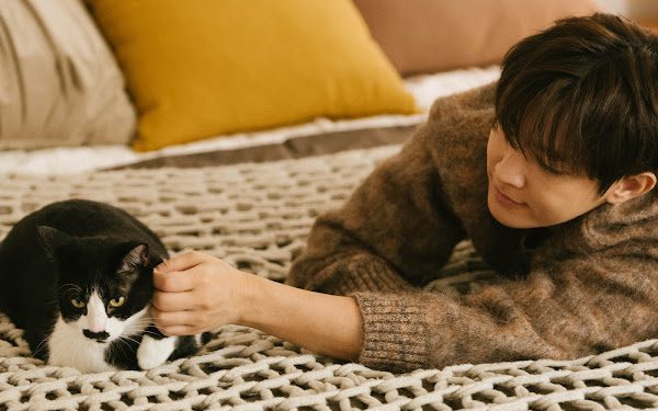 炎亞綸化身獨居男子領養老貓！新歌〈家庭會議〉奇幻視角說愛