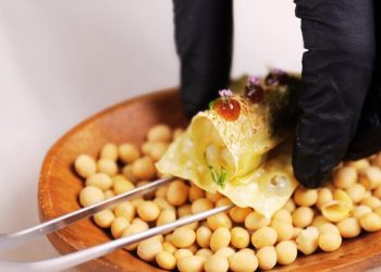 當法式工藝遇見土地 台北法式私廚料理從記憶走向創作起點