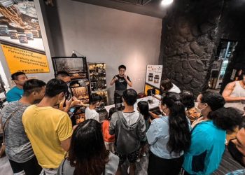 高雄爬蟲專賣店深耕在地 打造讓親子安心入門飼養體驗空間