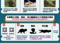 維護公共安全及動物福利 農業部正式公告禁止飼養641種危險動物