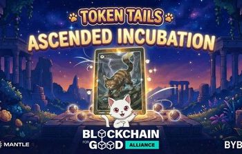 Blockchain for Good Alliance將Token Tails列為2025年重點孵化項目，旨在打造可擴展的流浪貓救助基礎設施