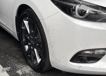 清明掃墓別讓車白吃灰 學會這一招護車又省錢