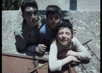 網羅柏林、威尼斯、鹿特丹、盧卡諾金獎短片 金穗影展推出26部國際觀摩片單