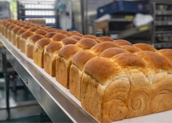 很多早餐店吐司其實來自這裡 高雄吐司批發隱藏版 蛋黃酥成團購爆款