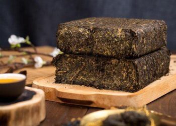 新華絲路：鹹陽茯茶代表團訪問五國駐華大使館，推廣中國茶文化