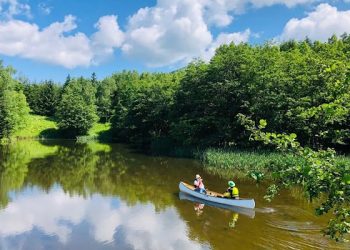 星野TOMAMU度假村推出台灣旅客限定禮遇 春夏綠色季同步登場
