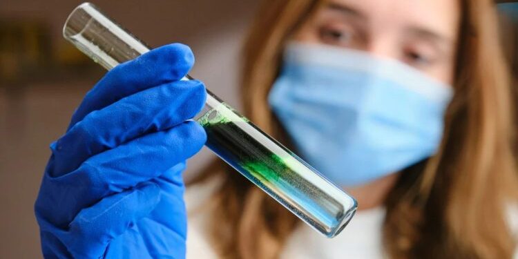 名人保養清單到科學研究 微藻成全球活力養生新選擇